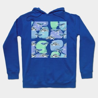 blue whales Hoodie